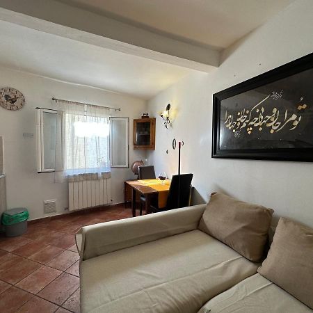פירנצה Pitti Apartment מראה חיצוני תמונה